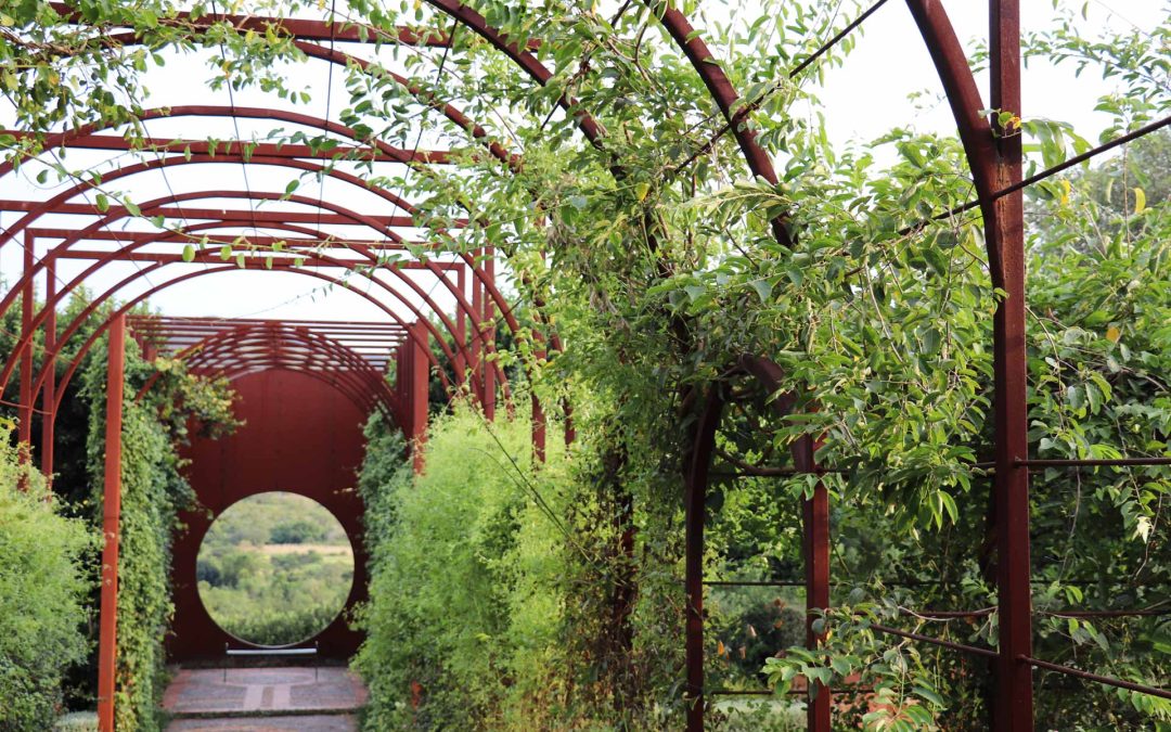 Medicinal Garden, Emantini Botanical Gardens, Eswatini